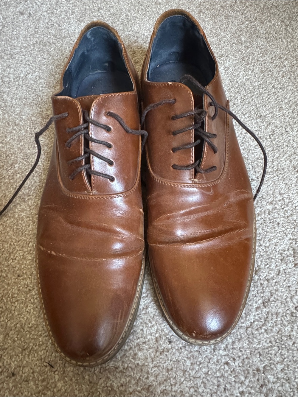 Steve Madden Men's Chestnut Brown Leather Lace-Up Oxfords